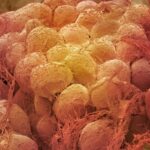 Outside of Ozempic: New Obesity Medicines Could Be Cheaper and Even A lot more Productive