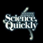 Really should We Care About AI’s Emergent Abilities?