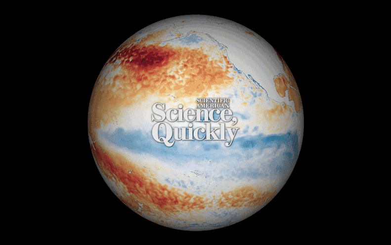 El Niño is Back. What Does That Signify For You?