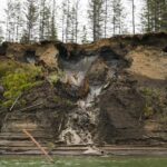 46,000-12 months-Old Worm Potentially Revived from Siberian Permafrost