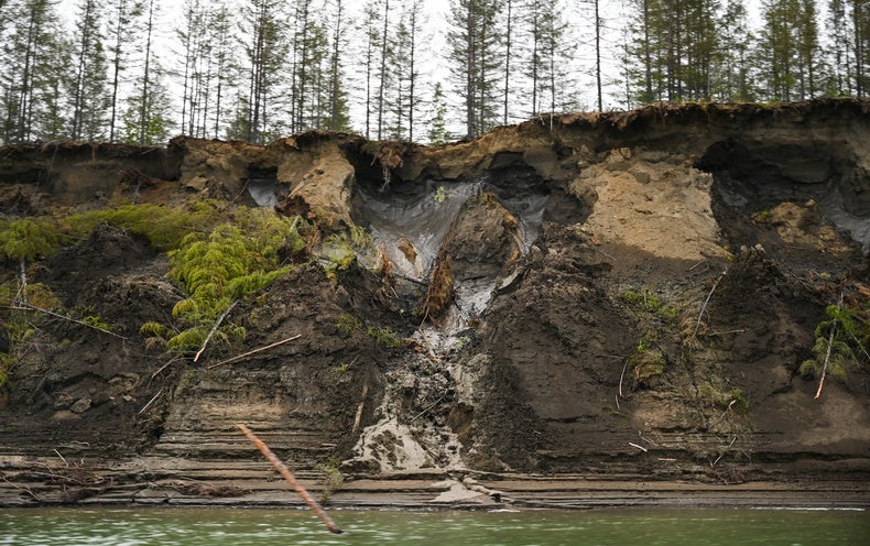 46,000-12 months-Old Worm Potentially Revived from Siberian Permafrost