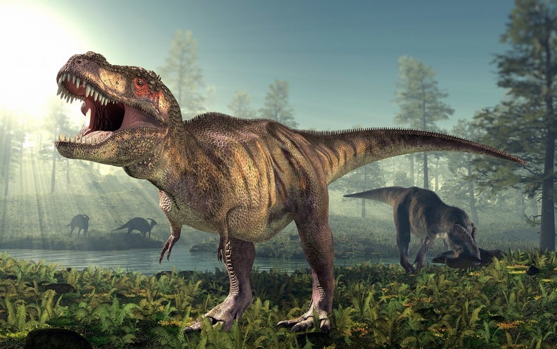 How Intelligent Ended up Dinosaurs? New Scientific tests Gas the Debate