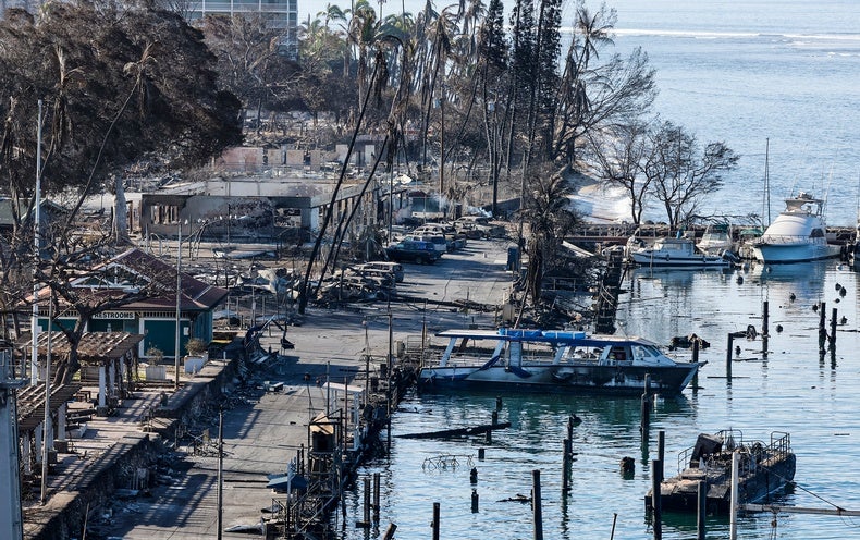 Maui Fires Could Contaminate the Island’s Waters
