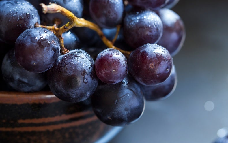 Your Genes May perhaps Affect What You Like to Try to eat