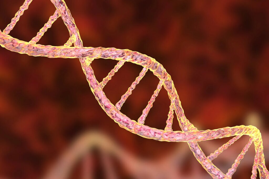 How Newly Found Genes May well In good shape Into Obesity