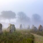 In a Stone Age Community, Women Moved although Guys Stayed with Family members