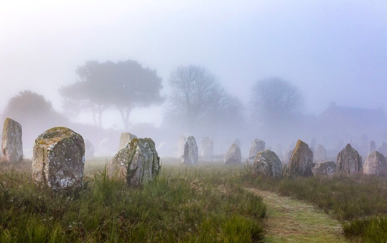 In a Stone Age Community, Women Moved although Guys Stayed with Family members