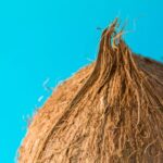 Math’s ‘Hairy Ball Theorem’ Has Surprising Implications