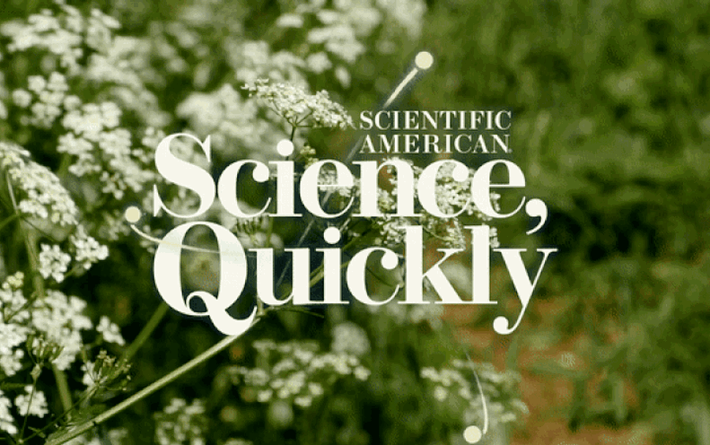 In This Ancient Yard, Plants Can Heal or Destroy You