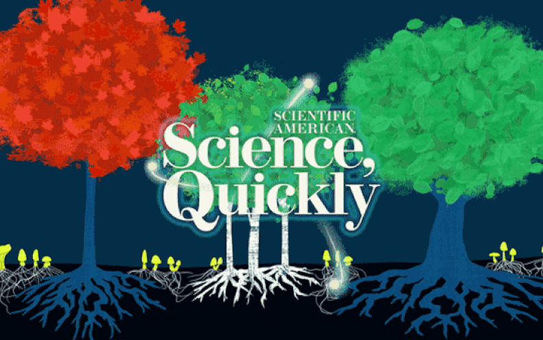 The Fungi Economy, Element 2: Here’s How Plants And Fungi Trade Beneath Our Toes