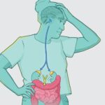 See How Stress Impacts Inflammatory Bowel Condition