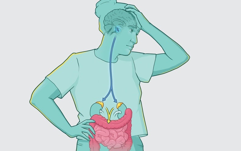 See How Stress Impacts Inflammatory Bowel Condition