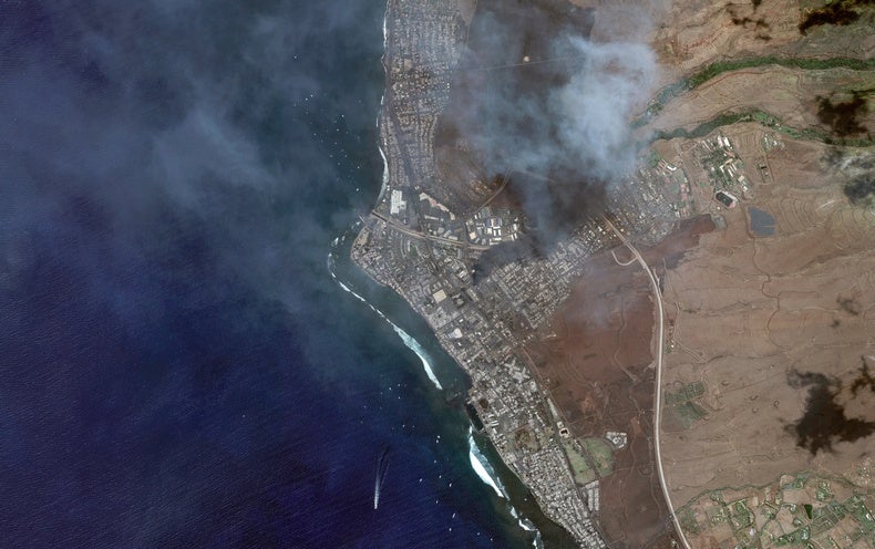 How Wildfires Eliminate Persons – Scientific American