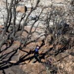 How Archaeological Methods Are Aiding Discover Victims of the Hawaii Wildfires