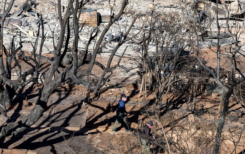 How Archaeological Methods Are Aiding Discover Victims of the Hawaii Wildfires