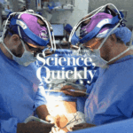 A Pig Kidney Was Just Transplanted Into a Human System, and It Is Continue to Operating