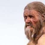 Ötzi the Iceman Will get a New Seems from Genetic Analysis