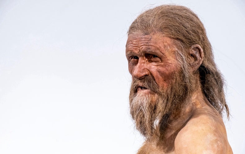 Ötzi the Iceman Will get a New Seems from Genetic Analysis