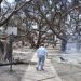 Some Astonishing Destinations Are at Risk of Devastating City Wildfires like Maui’s
