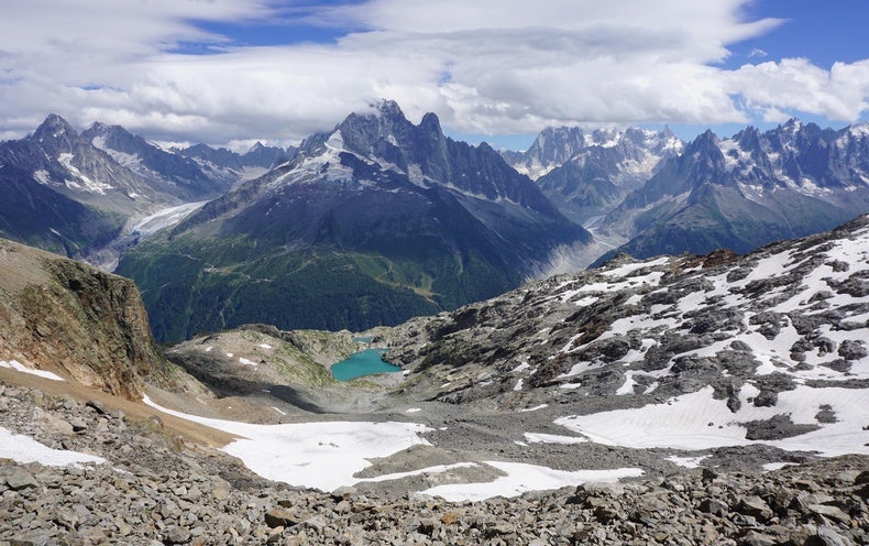 Disappearing Glaciers Expose Large New Ecosystems That Want Defense