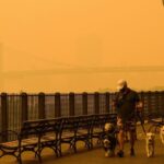 Individuals Have Breathed Much more Wildfire Smoke in Eight Months Than in Complete Many years
