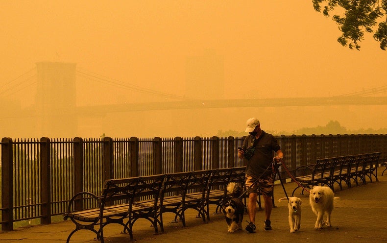 Individuals Have Breathed Much more Wildfire Smoke in Eight Months Than in Complete Many years