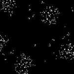 Can You Decode an Alien Message?