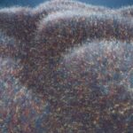 Scientists Tried out to Re-make an Whole Human Mind in a Computer system. What Happened?
