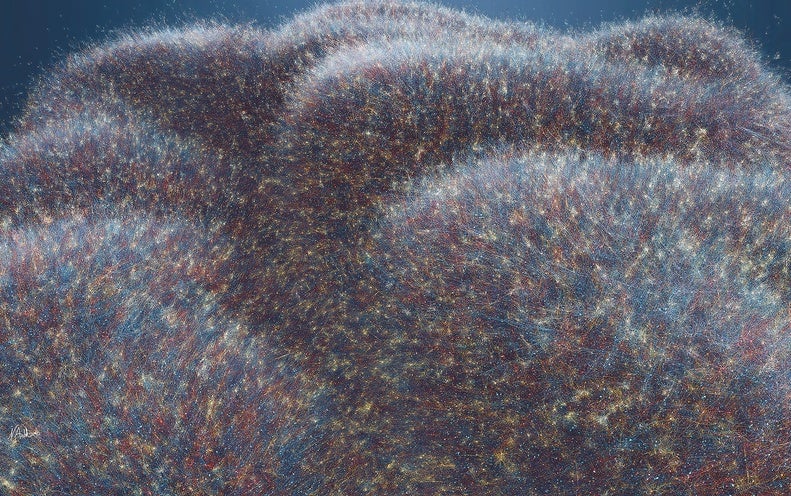 Scientists Tried out to Re-make an Whole Human Mind in a Computer system. What Happened?
