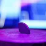 The Superconductor Sensation Has Fizzled, and Which is Fine