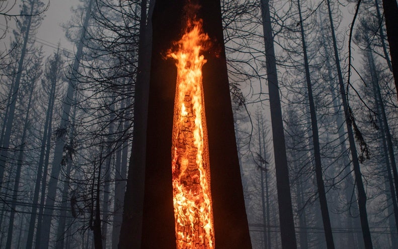 The Potential risks of Wildfire Smoke
