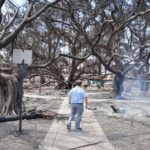 Some Astonishing Destinations Are at Risk of Devastating City Wildfires like Maui’s