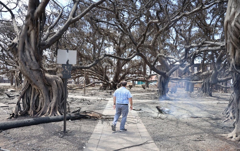 Some Astonishing Destinations Are at Risk of Devastating City Wildfires like Maui’s