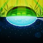 Cells Identified Making ‘Dark Oxygen’ Underground