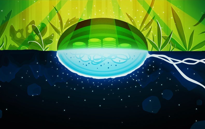 Cells Identified Making ‘Dark Oxygen’ Underground