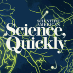 The Fungi Overall economy, Part 3: Can Climate Modeling From Room Conserve Our Forests?