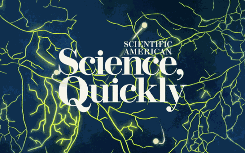 The Fungi Overall economy, Part 3: Can Climate Modeling From Room Conserve Our Forests?