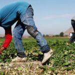 Working in Extreme Warmth Is Dangerous. We Should Make It Safer