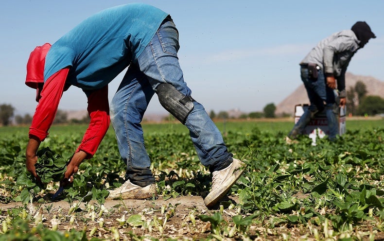 Working in Extreme Warmth Is Dangerous. We Should Make It Safer