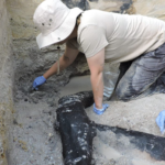 Earliest Proof of Picket Construction Uncovered