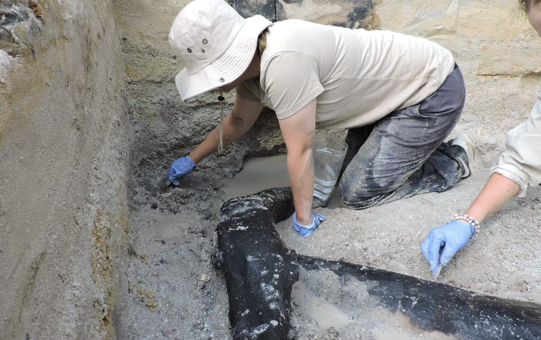 Earliest Proof of Picket Construction Uncovered