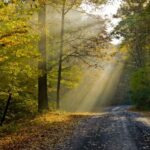 The Equinox Is Not What You Consider It Is