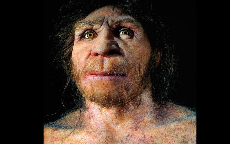 Human Ancestors Virtually Went Extinct 900,000 A long time Ago