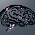 Overlooked Reminiscences Might Continue to be Intact in the Mind