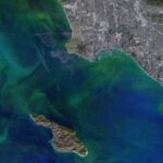 Carbon in the Oceans Is Altering the Micro-Cloth of Lifetime