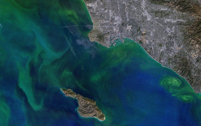 Carbon in the Oceans Is Altering the Micro-Cloth of Lifetime