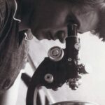 Rosalind Franklin Deserves a Posthumous Nobel Prize for Co-discovering DNA Composition