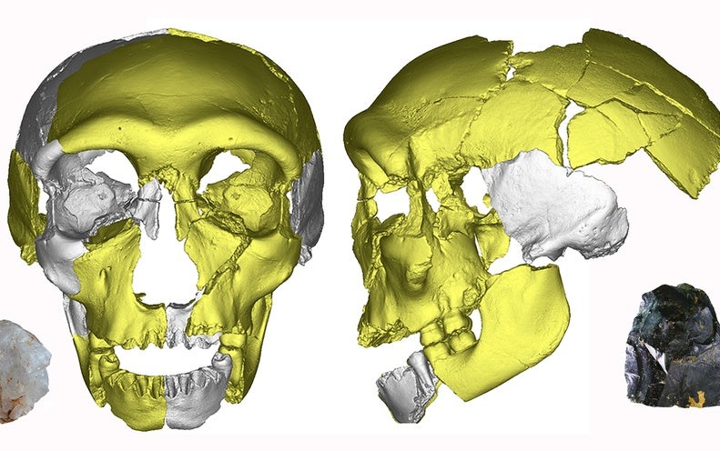 Probable New Human Species Identified through 300,000-Calendar year-Old Jawbone Fossil