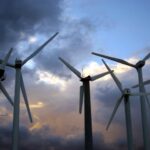Wind Energy Could Get Safer for Bats with New Analysis