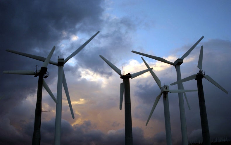 Wind Energy Could Get Safer for Bats with New Analysis